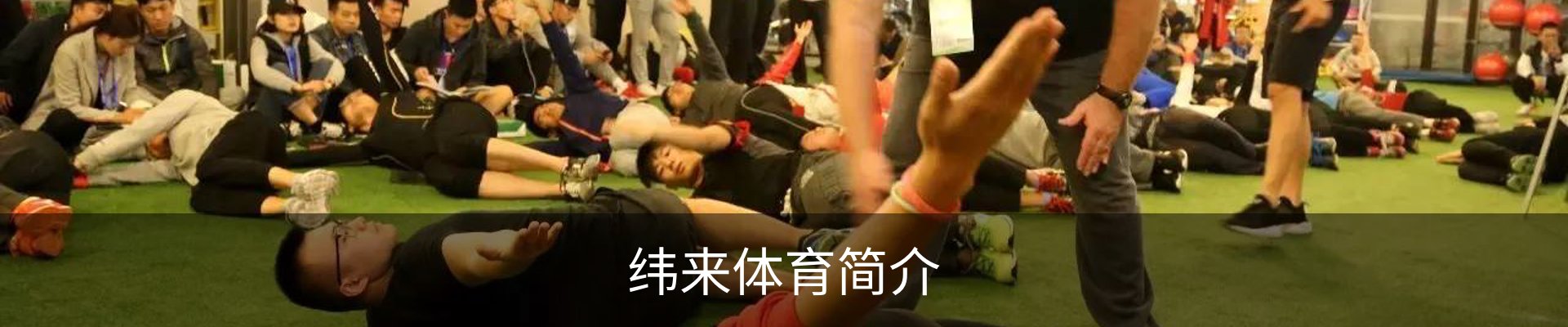 纬来体育简介